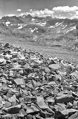 Desolation above timberline— #103