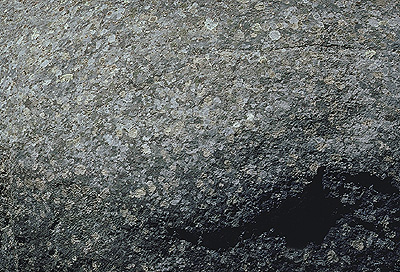 Granite Rock and Lichen
