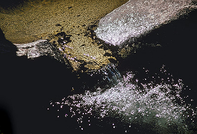 Water flowing over a rock