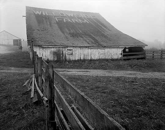 Willowside Farm, The Barn, in Fog