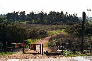 Gate across the road from the parking lot.