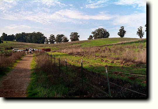 Looking east from the top of the ridge along Long Ridge Road