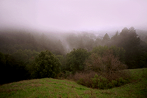 Fog coming in on the ridge.