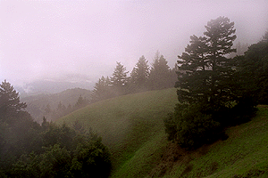 Fog coming in on the ridge.