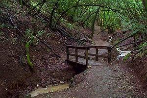 Wide enough to walk side-by-side, but not as wide as a fire trail