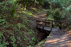 This section of the trail is very similar to the earlier portion