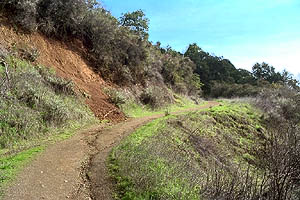 The trail widens and moves out of the shade into the sun