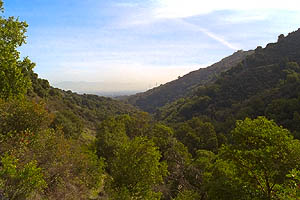 Looking back down the canyon you just hiked up.