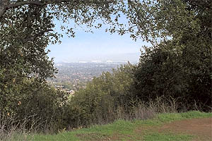 An interesting window on Mountian View and Palo Alto.