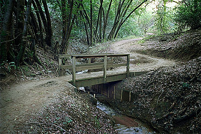 One of the bridges on the lower Wildcat Canyon