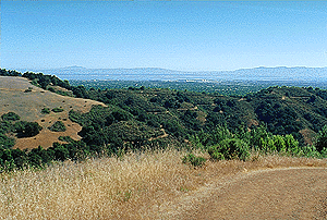 Santa Clara Valley, note Upper Wildcat Canyon trail winding up below Upper High Meadow