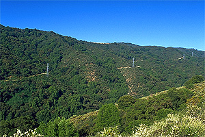 View of PG&E Trail from the Wildcat Loop