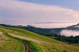 Fog rolling in, view from Hawk Trail