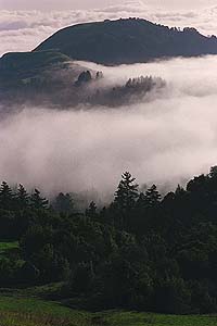 Fog rolling in, view from Hawk Trail