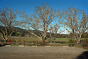 Portola Valley from the parking lot