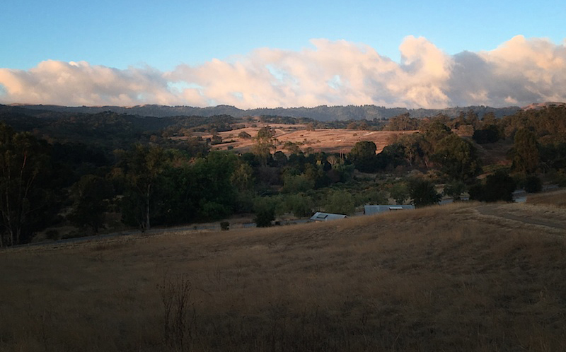 Arastradero Preserve