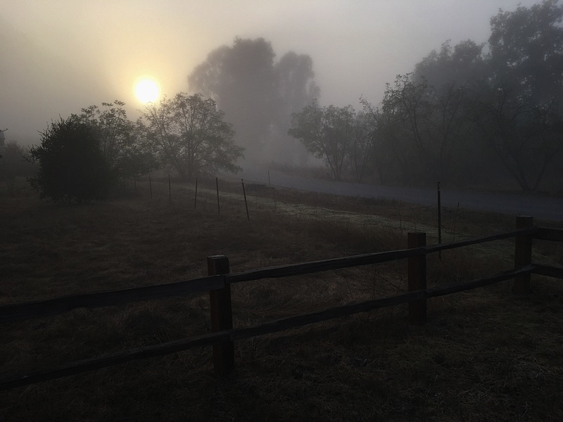 Arastradero Preserve