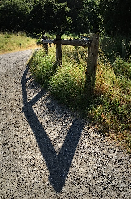 Arastradero Preserve
