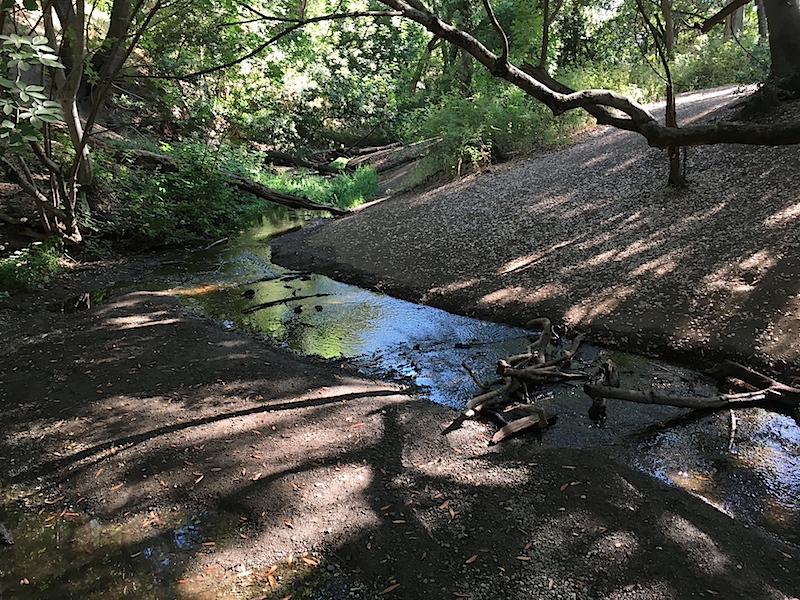 Rancho San Antonio Stream