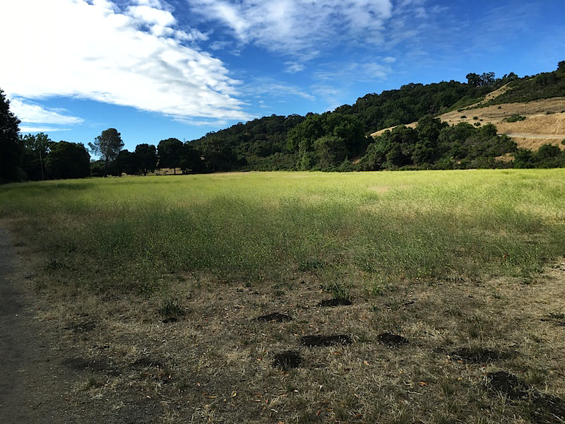 Rancho San Antonio