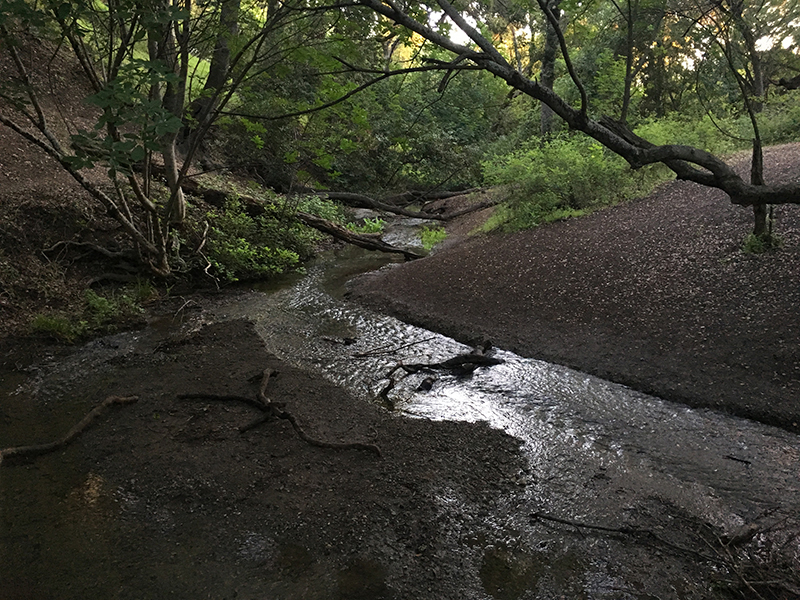 Rancho San Antonio Stream