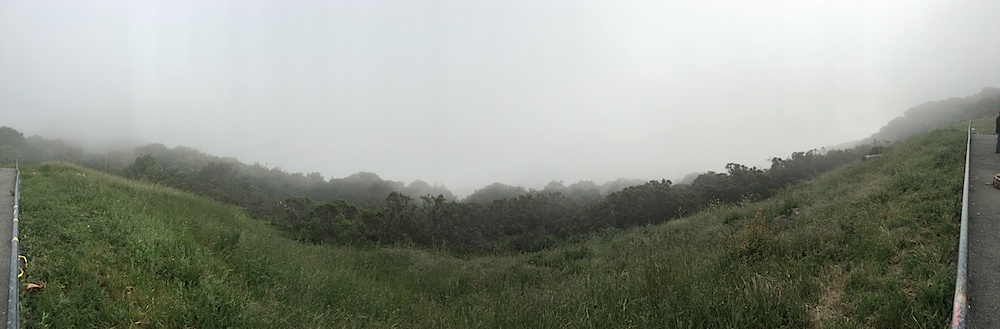 Russian Ridge vista in fog